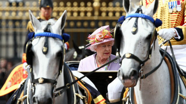 All the Queen's Horses - Channel 5